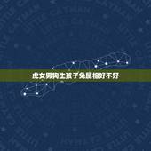 虎女男狗生孩子兔属相好不好，男狗女兔要什么属相的孩子