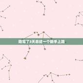 陪驾了3天总结一个新手上路，我是新手上路学开了3天车，我哥就说可以上路