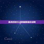 属虎的和什么属相最配最合适呢，属虎的男人和什么属相女性最配最合适呢