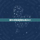 属牛5月份运势怎么样2021，2021年属牛的全年运势怎么样