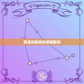 属龙和属狗的婚姻配吗，男属兔女属龙婚姻相配吗