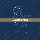 2022年落魄的生肖，十二生肖里面的什么生肖是失魂落魄？