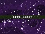 上山祭祖什么属相最好，1990年属马的和什么属相相配好