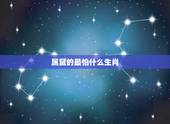 属鼠的最怕什么生肖，属龙的克星是什么生肖