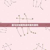属马女和属狗适合做夫妻吗，男属狗女属马婚姻状况
