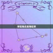 羊旺兔还是兔旺羊，男兔和女羊更佳孩子
