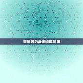 男属狗的最佳婚配属相，属相属狗的婚配什么属相最好