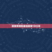 属猪男婚配最佳属相1995年，1995年属猪的和什么属相最配