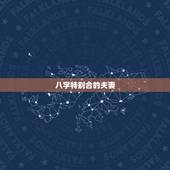 八字特别合的夫妻，有些夫妻恩爱到老，这是他们的八字合得很好的原因吗？