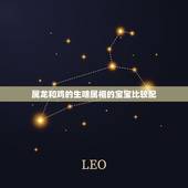 属龙和鸡的生啥属相的宝宝比较配，男属蛇和女属龙的生什么生肖的孩子好。