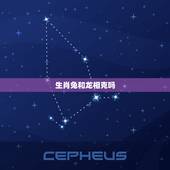 生肖兔和龙相克吗，属兔跟属龙的合不合