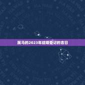 属马的2023年结婚登记的吉日，1994属狗女和199O年属马男准备2