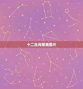 十二生肖精美图片，十二生肖高清图片在哪找