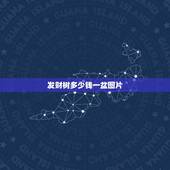 发财树多少钱一盆图片，发财树多少钱一棵？