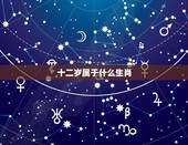 十二岁属于什么生肖，今年12岁是哪年出生