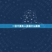 一日千里无人及是什么属相，阿尔三法闯天关，一日千里无人及