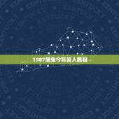 1987属兔今年贵人属相，87年属兔明年运势，明年才运怎样，有贵人帮助
