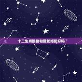 十二生肖属猪和属蛇婚配好吗，十二生肖属蛇与属猪的合作有没有财运