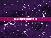 属鼠和羊相配婚姻如何，羊配鼠的婚姻怎么样