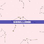 生肖鸡的上上等婚配，属鸡上面属什么