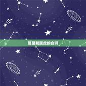 属鼠和属虎的合吗，虎和老鼠的属相合不合