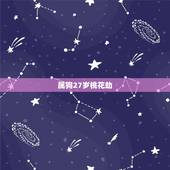 属狗27岁桃花劫，能降服属狗男的生肖女