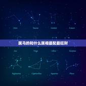 属马的和什么属相最配最旺财，男属马婚配更佳属相