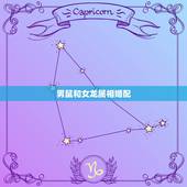 男鼠和女龙属相婚配，男方属鼠，女方属龙，他们相配吗？