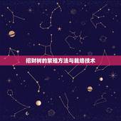 招财树的繁殖方法与栽培技术，发财树主干扦插