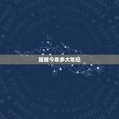 属猴今年多大年纪，1980属猴的42岁以后运气