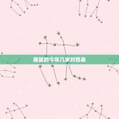 属鼠的今年几岁对照表 属龙的今年几岁对照表2022年