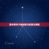 属羊男双子座和属马巨蟹女婚配，属马天秤座女的和属羊双子座男的配吗
