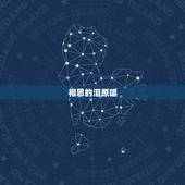 相思的泪原唱，相思的泪水在不停流淌是什么歌
