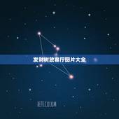 发财树放客厅图片大全，发财树放客厅什么位置好