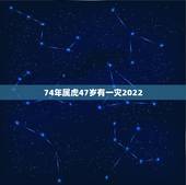 74年属虎47岁有一灾2022，1974年属虎48岁2021命运