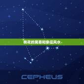 桃花的寓意和象征风水，桃花为什么代表爱情