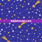 老鼠的死对头是什么生肖，龙跟什么生肖是死对头