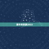 属牛年龄表2022，73年属牛47岁有一灾