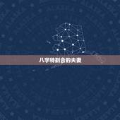 八字特别合的夫妻，八字看男女双方缘分