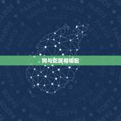 狗与蛇属相相配，属相婚配狗和蛇相配吗
