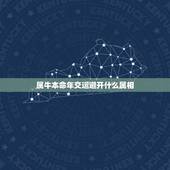 属牛本命年交运避开什么属相，属牛生肖本命年，感情健康运事业都不好，应该