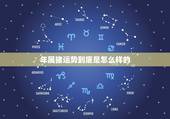 年属猪运势到底是怎么样的，属猪人今年的运势怎么样猪今年运势