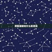 男属相猪和什么配更佳，女鼠跟哪个属相最配