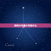 招财大牛猫小号是什么，比较好的微信公众号有哪些？最好是财经类的