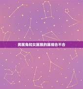 男属兔和女属猴的属相合不合，属兔男跟属猴女相配好吗？