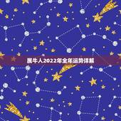 属牛人2022年全年运势详解，1997年属牛人2022年运势