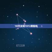 1971女和1972男配吗，72年男鼠和71年女猪相配吗