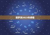塔罗测2023年感情，塔罗牌一张牌测自己和喜欢的男生的感情发展趋势及自