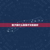 猴子跟什么属相子女配最好，猴子跟什么属相相配