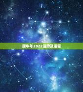 属牛年2022运势及运程，属牛人2022运势运程